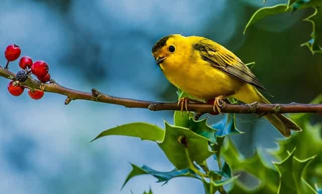 穿上什么特别显瘦的打底裤（牛仔裤显瘦搭配方法）