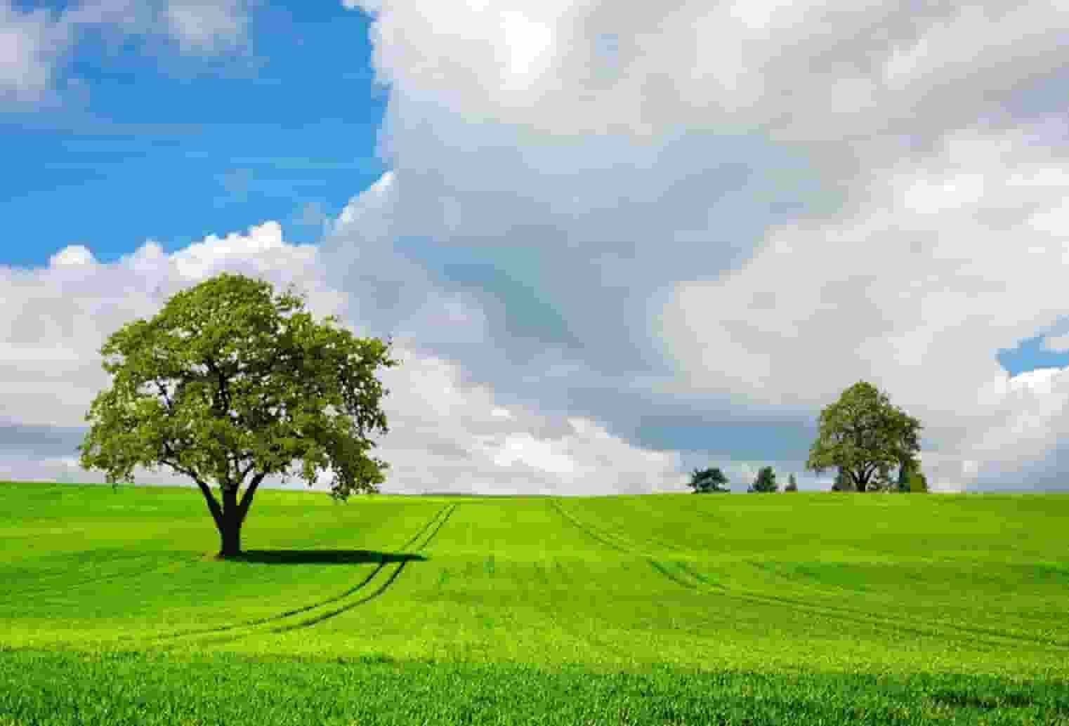 创业板指数股票最高价