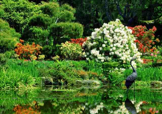 桃季 院子里没有种桃树 是纯天然无污染的