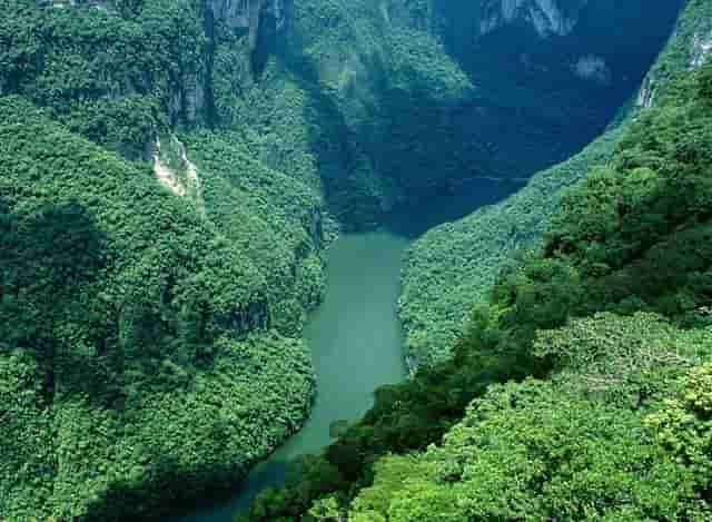 科一科四难还是科二科三(科一科四难还是科二科三难)