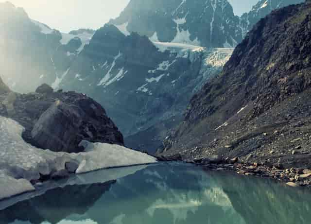 番茄西红柿的(番茄西红柿的书)