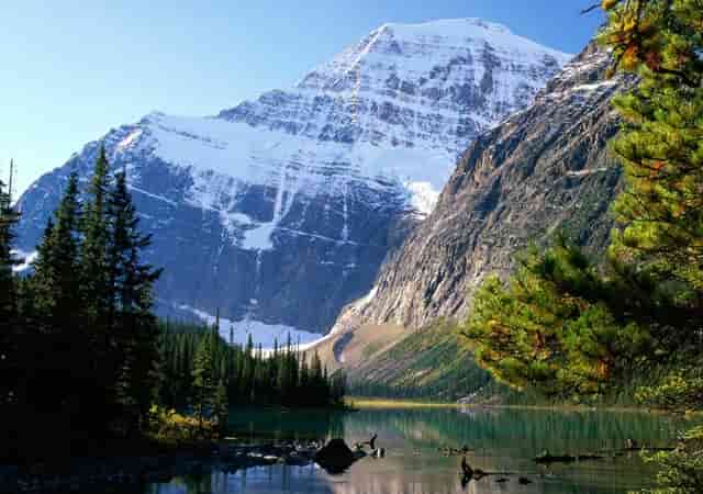 思政教育与思政教学