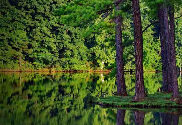 最新的长篇故事