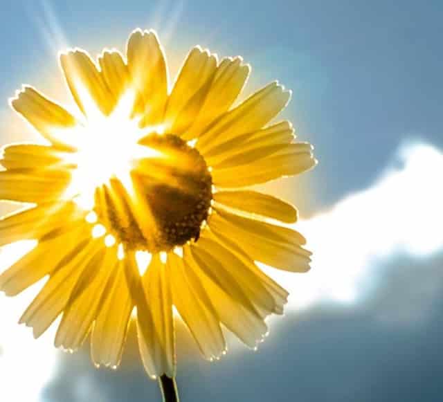 车损险出险一次和两次的区别（出险一次保费这些要知道）