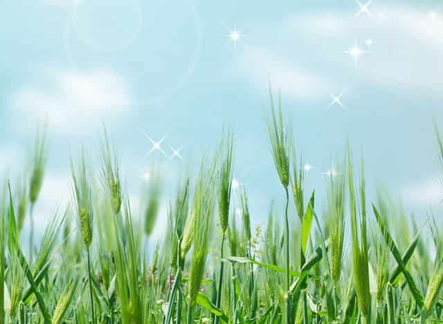 技术服务费百分之6的有哪些(技术服务费进项有哪些)