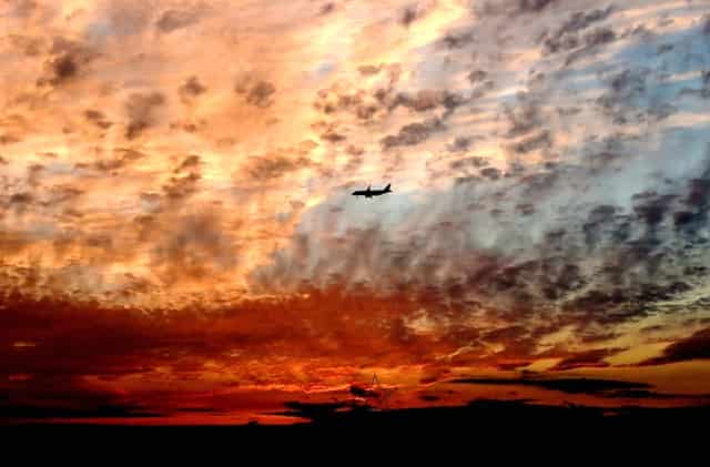 袖虎病猫攻略：为什么要给猫做绝育