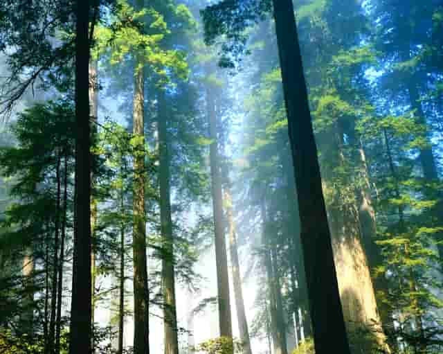 袖虎宠物店揭秘行业骗局：开宠物店有没有暴利？(1)