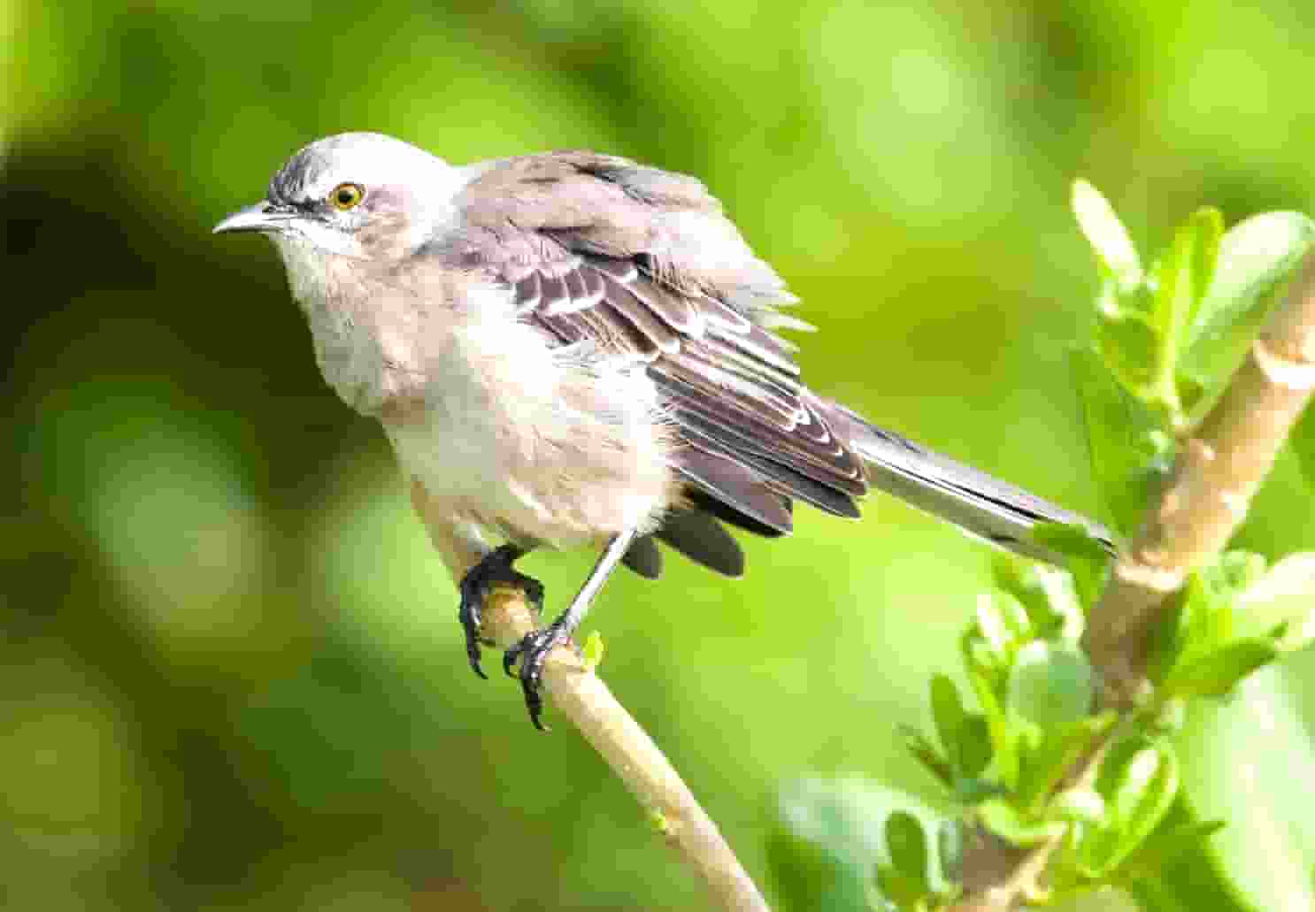 2021各高校投档线什么时候出