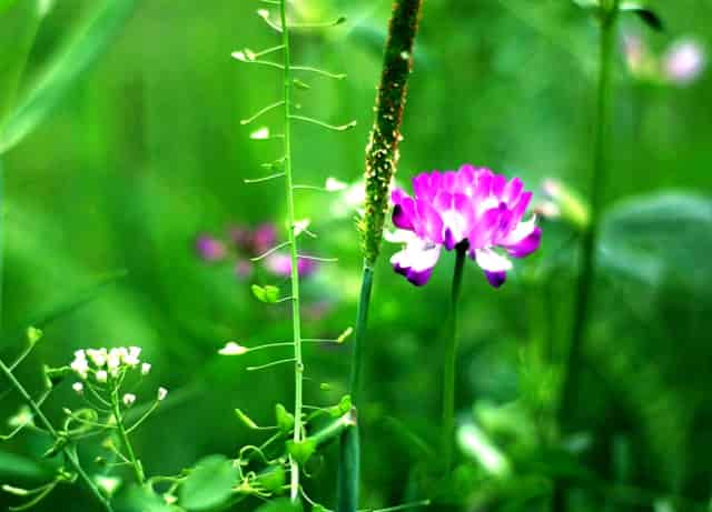 天目湖：产品迭代升级 经营创新突围