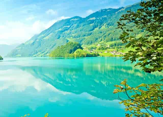 袖虎病猫攻略：猫咪眼睛受伤怎么办