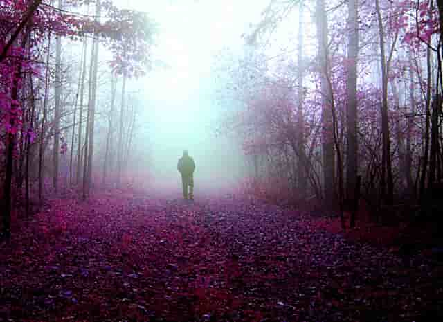 瑜伽五种分支动作(五点式瑜伽动作)