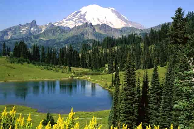 掌上世界杯火热来袭 枞横世界杯预测锦标赛进行中