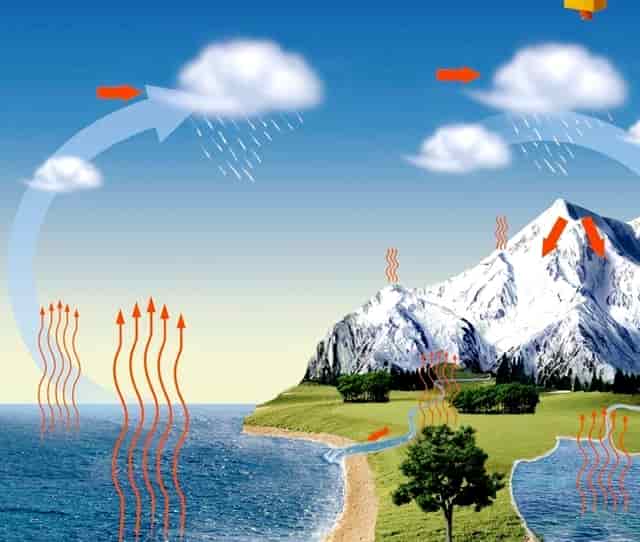 袖虎病猫攻略：猫咪指甲崩飞了怎么办