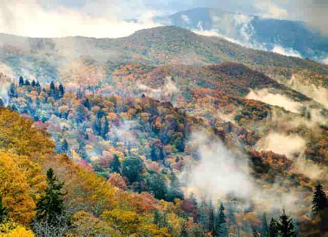 蔡嘉珍成功獲得註冊理財規劃師資格