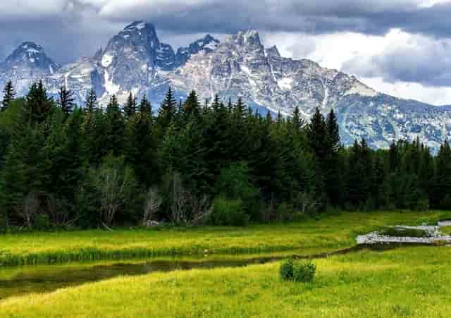 袖虎家大家，如何去除猫咪难闻气味！