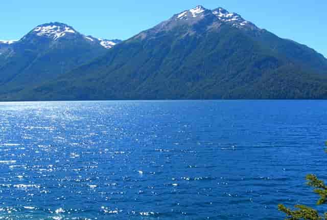 袖虎病狗攻略：关于狗狗断尾那些你不知道的事