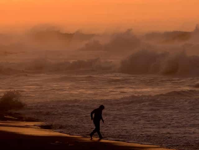 袖虎病猫攻略：猫咪肠梗阻的症状
