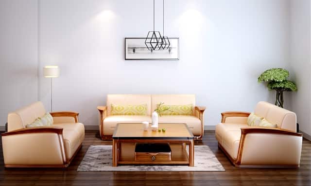 袖虎病猫攻略：猫咪突然乱拉屎怎么办