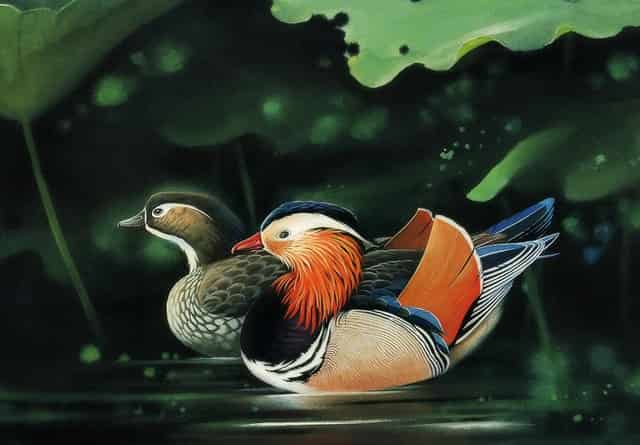 交巡警开展交通安全知识宣传