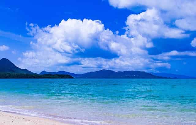 袖虎病狗攻略：狗狗也有白内障吗？