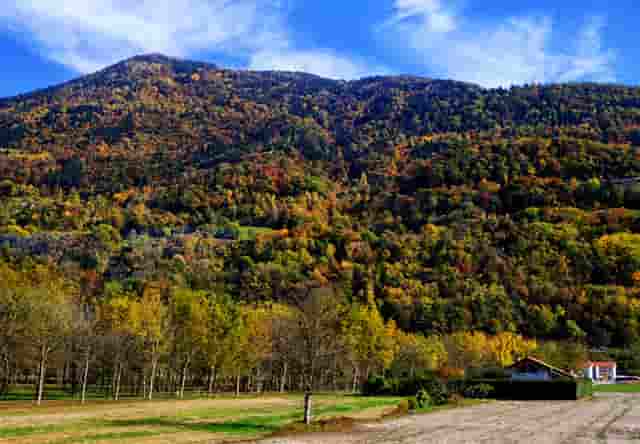 靶向药新星·拉罗替尼不限癌种（Larotrectinib，LOXO-101）