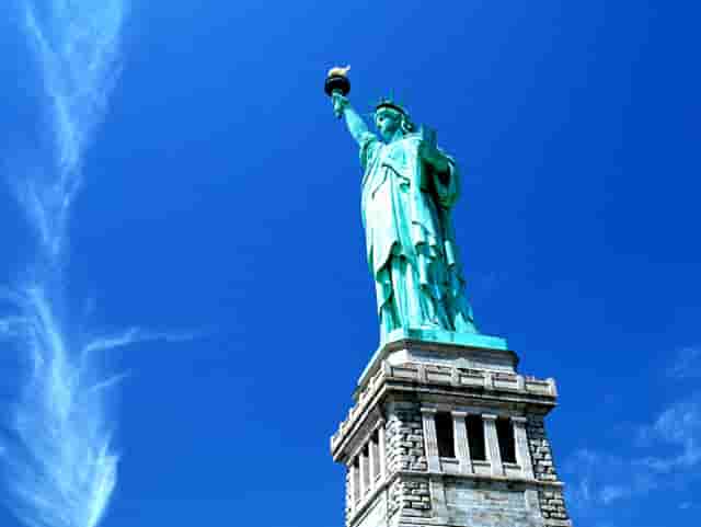 袖虎宠物攻略：猫咪突然过于反应激烈是怎么回事？