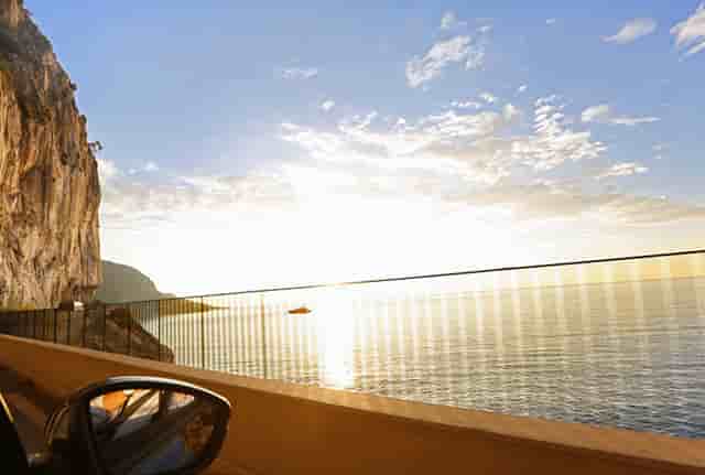 袖虎病猫攻略：猫咪睡姿的含义