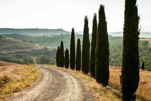 蔡嘉珍成功註冊理財規劃師，邁出專業領域新里程碑
