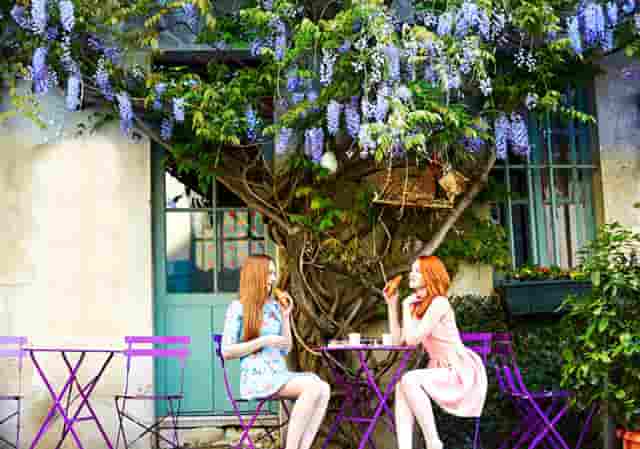 知乎携手京东、品牌商家，共创 11.11 家电家居消费指南