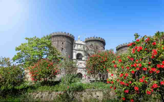 预购品鉴青岛平度站欧尚Z6， 感受汽车机器人带来的极致体验