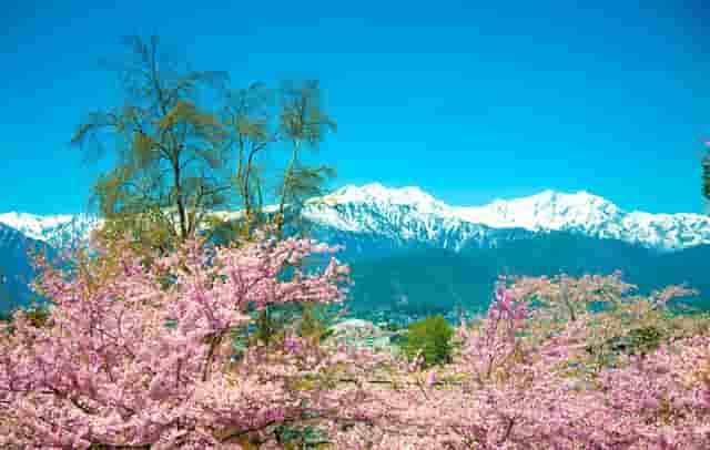 时尚鞋子的穿着搭配技巧(鞋子的搭配技巧图片欣赏)