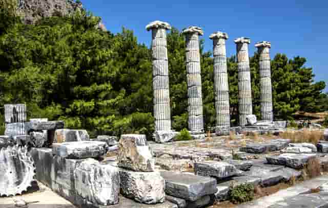 韩国电影主人公有摄影师的(韩国电影有关摄影师及其助理)