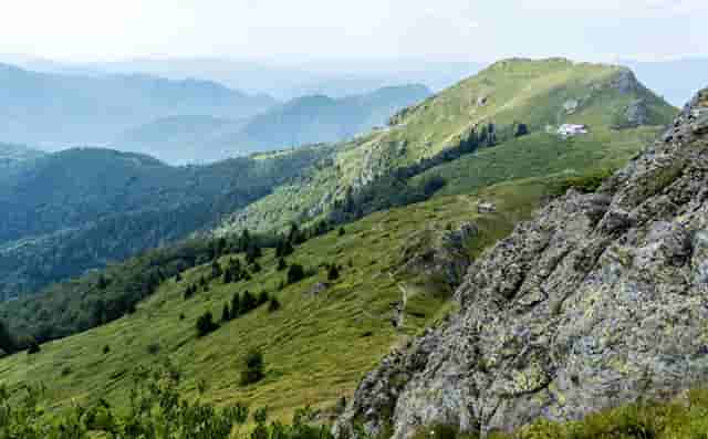 袖虎病猫攻略：猫咪消化不良的症状及治疗