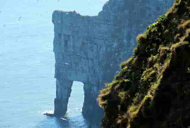 蔡嘉珍榮獲註冊理財規劃師資格