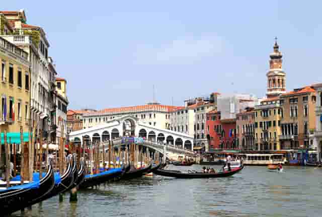 袖虎提醒遭遇骗子卖猫后主人怎么办