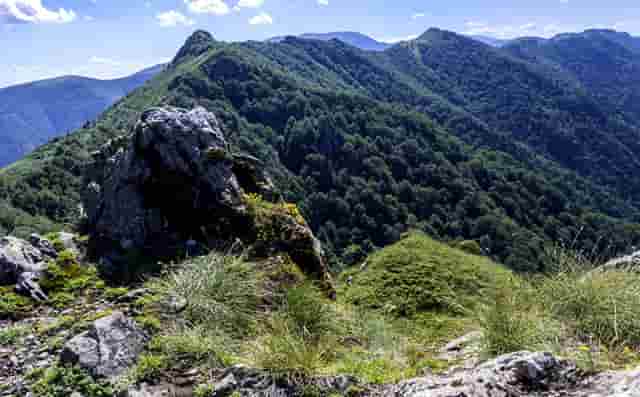 西比曼生物JPM大会：为癌症和自免疾病患者开发创新细胞疗法