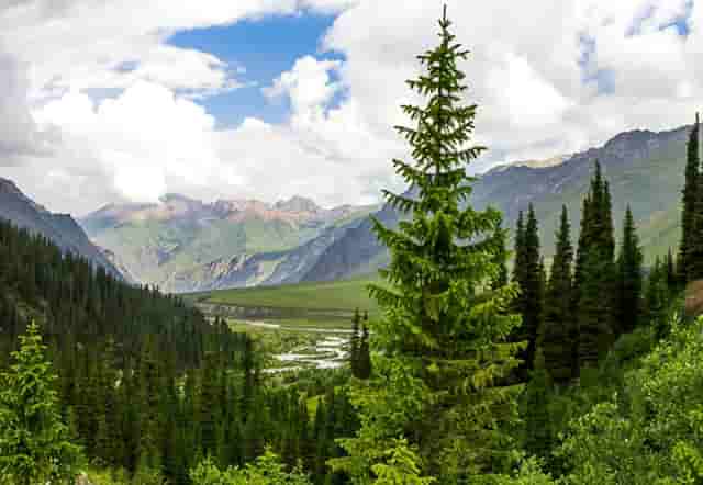 比亚迪上半年新车销量首进全球前十