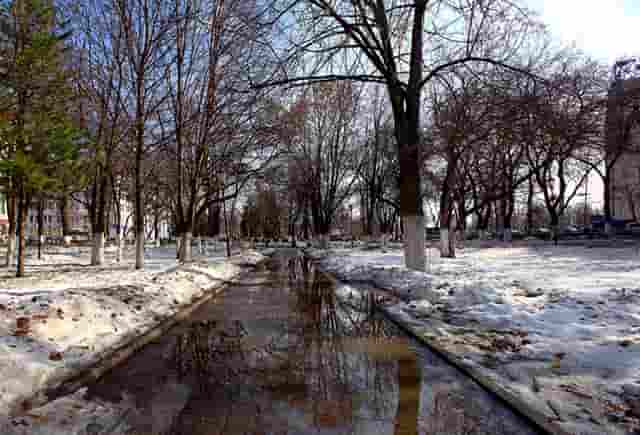 抗击疫情最重要的医院(抗击疫情医院收费员)