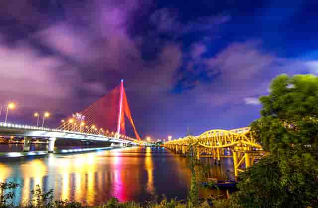 袖虎病猫攻略：猫咪耳朵肿，别想省钱啦！