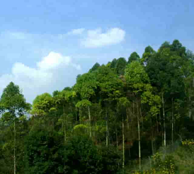 柒时尚摄影入门技巧(平果手机摄影入门技巧)