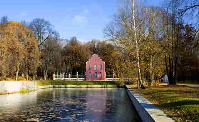 袖虎宠物揭秘骗子宠物商常见招数