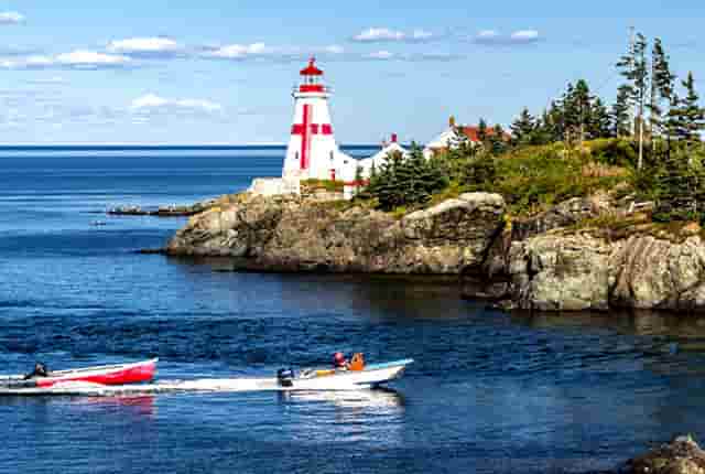 首付款达2.45亿美元！杨森引进西比曼生物两款CAR-T产品