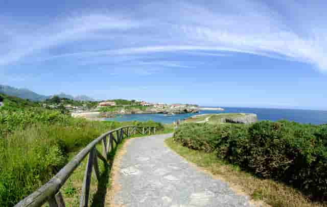 跑步后身体代谢(为什么天天跑步代谢会降低呢)