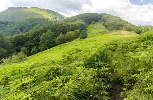 袖虎宠物店留客的那些套路